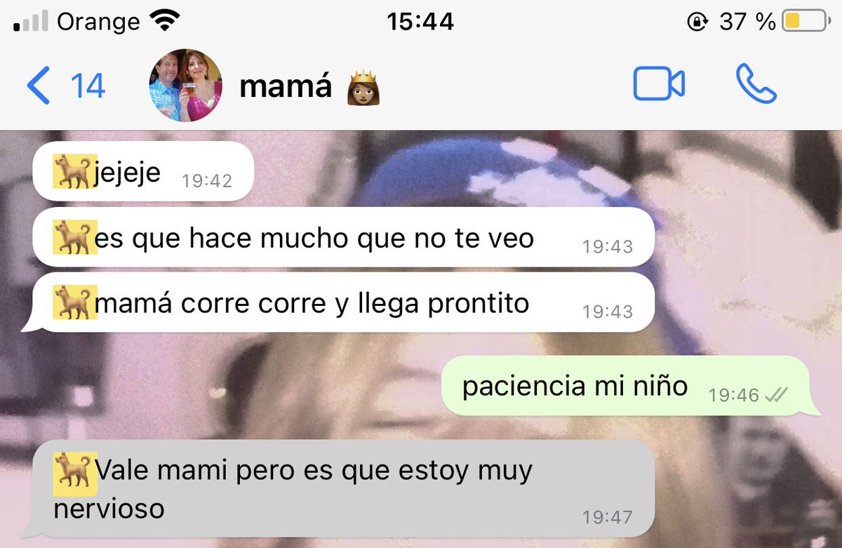 _lopezeva_'s tweet photo. poco se habla de que mi madre me habla como si fuese mi perro y es muy adorable https://t.co/iHhlVAJMl9