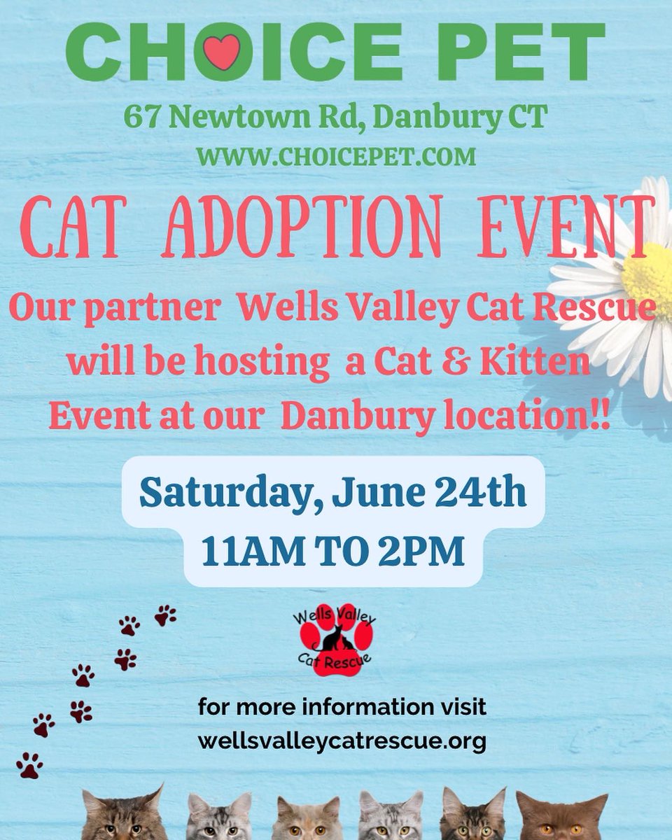 Summer is a great time to adopt a new pet! Support our partners and rescue your new bff this month! They are looking for their Furever homes 💚 
Visit the link in our bio to stay up to date on all of our in store adoption events! #adoptdontshop #rescuepets #juneadoptions