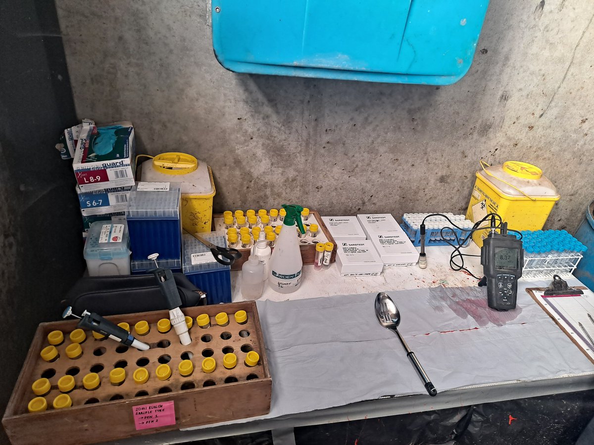 Another busy day on the Methane-Predict project in <a href="/teagasc/">Teagasc</a> . 48 bullocks, undergoing methane measurements, rumen sampled. These samples, along with others collected in Ireland and <a href="/AgResearchNEWS/">AgResearch</a>, will be used to validate the rumen microbiome as a proxy for methane emissions!
