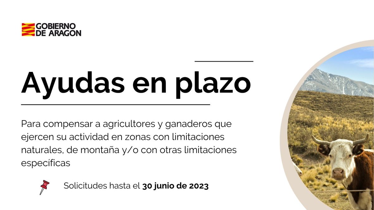 Gobierno de Aragón tweet media