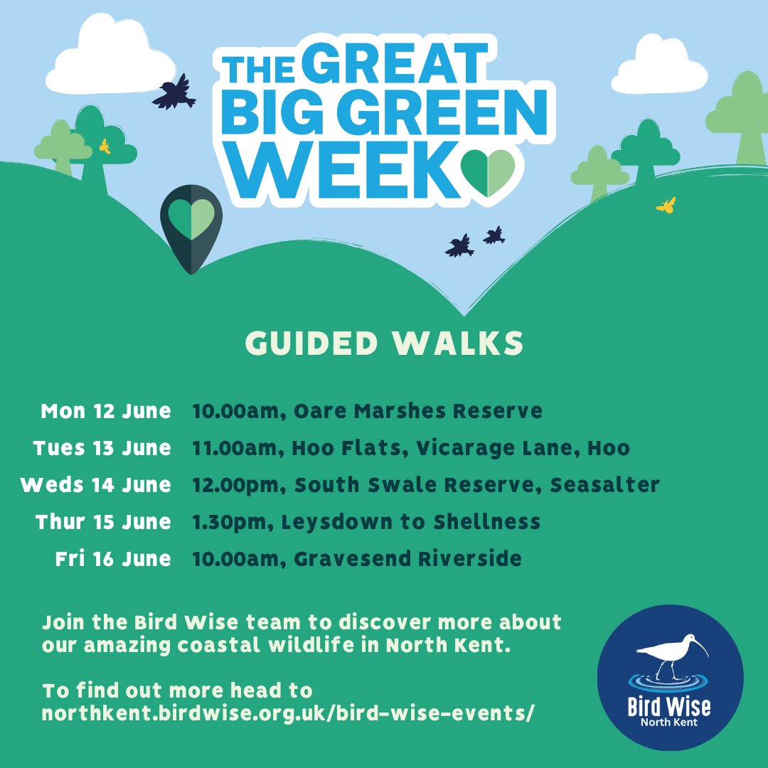 Looking forward to taking part in #GreatBigGreenWeek next week. 
Join us for a gentle guided walk and learn more about our coastal wildlife in north #Kent
Suitable for beginners, dogs on leads welcome
northkent.birdwise.org.uk/events
#birdwise #Medway #Swale #Gravesham #Whitstable