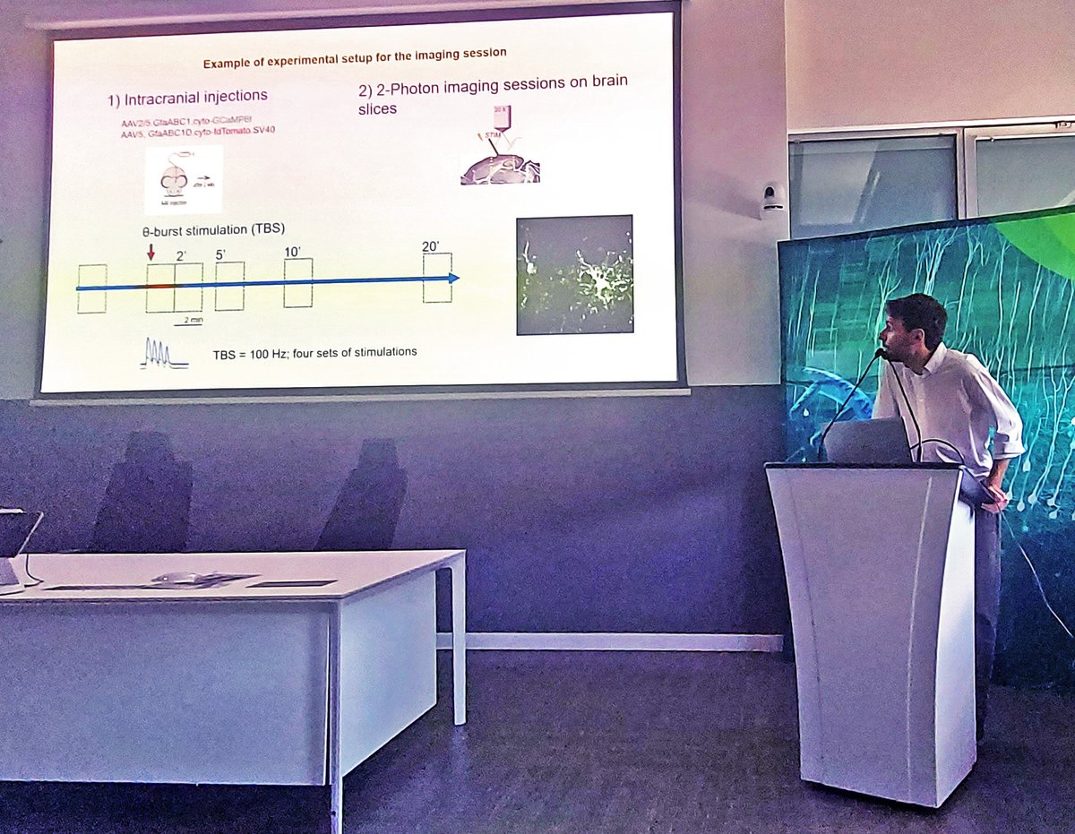 Great talk by Rocco Granata from @EDeLeonibus lab for today’s IBBC data club: “Development of a computational method for the analysis of calcium imaging in astrocytes” #ComputationalNeuroscience for wet lab research.#MATLAB #imageanalysis #calciumimaging #neuroglianetwork #wetlab