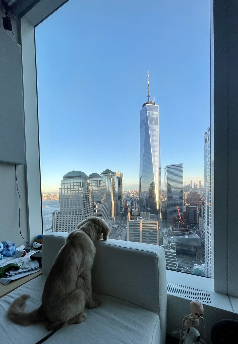 Thinknoodles RIPKopi 🐶🍜 on Twitter "Man the world is literally