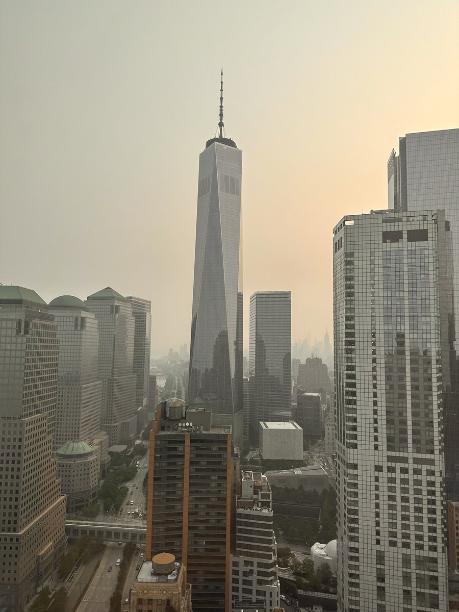 Thinknoodles RIPKopi 🐶🍜 on Twitter "Man the world is literally