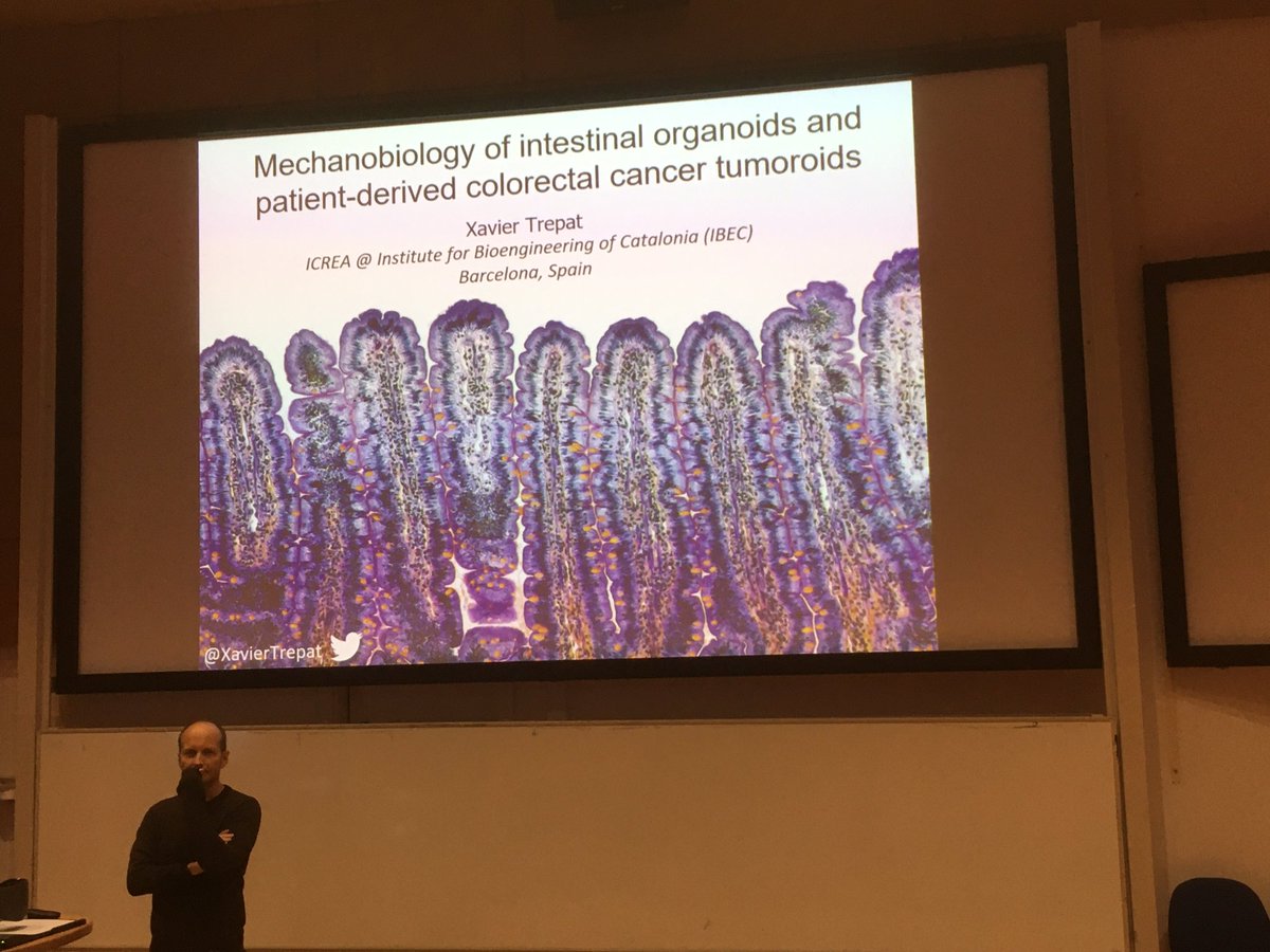 Randall Muscle Biophysics (@rbiophysics) on Twitter photo Looking forward to the Randal FEBS lecture to be given by Xavier Trepat
<a href="/XavierTrepat/">Xavier Trepat</a> <a href="/FEBS_Letters/">FEBS Letters</a> <a href="/FEBSJournal/">The FEBS Journal</a> <a href="/FEBSnews/">FEBS</a> Looking forward to the Randal FEBS lecture to be given by Xavier Trepat
<a href="/XavierTrepat/">Xavier Trepat</a> <a href="/FEBS_Letters/">FEBS Letters</a> <a href="/FEBSJournal/">The FEBS Journal</a> <a href="/FEBSnews/">FEBS</a>