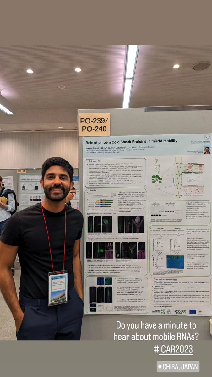 Do you have a minute to hear about mobile mRNAs? #icar2023 <a href="/plamorf/">PLAMORF</a>