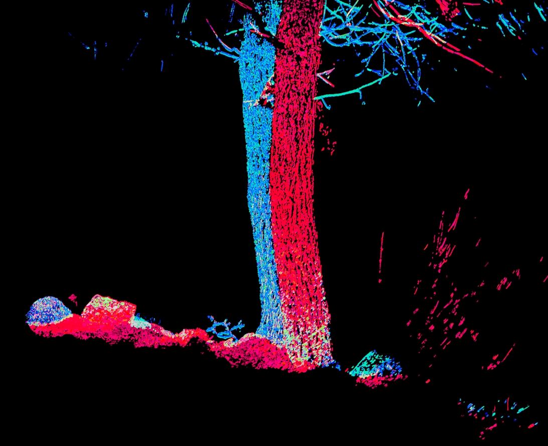 Operation of an optical software space scanner with color division into plans. Separation of nearby trees