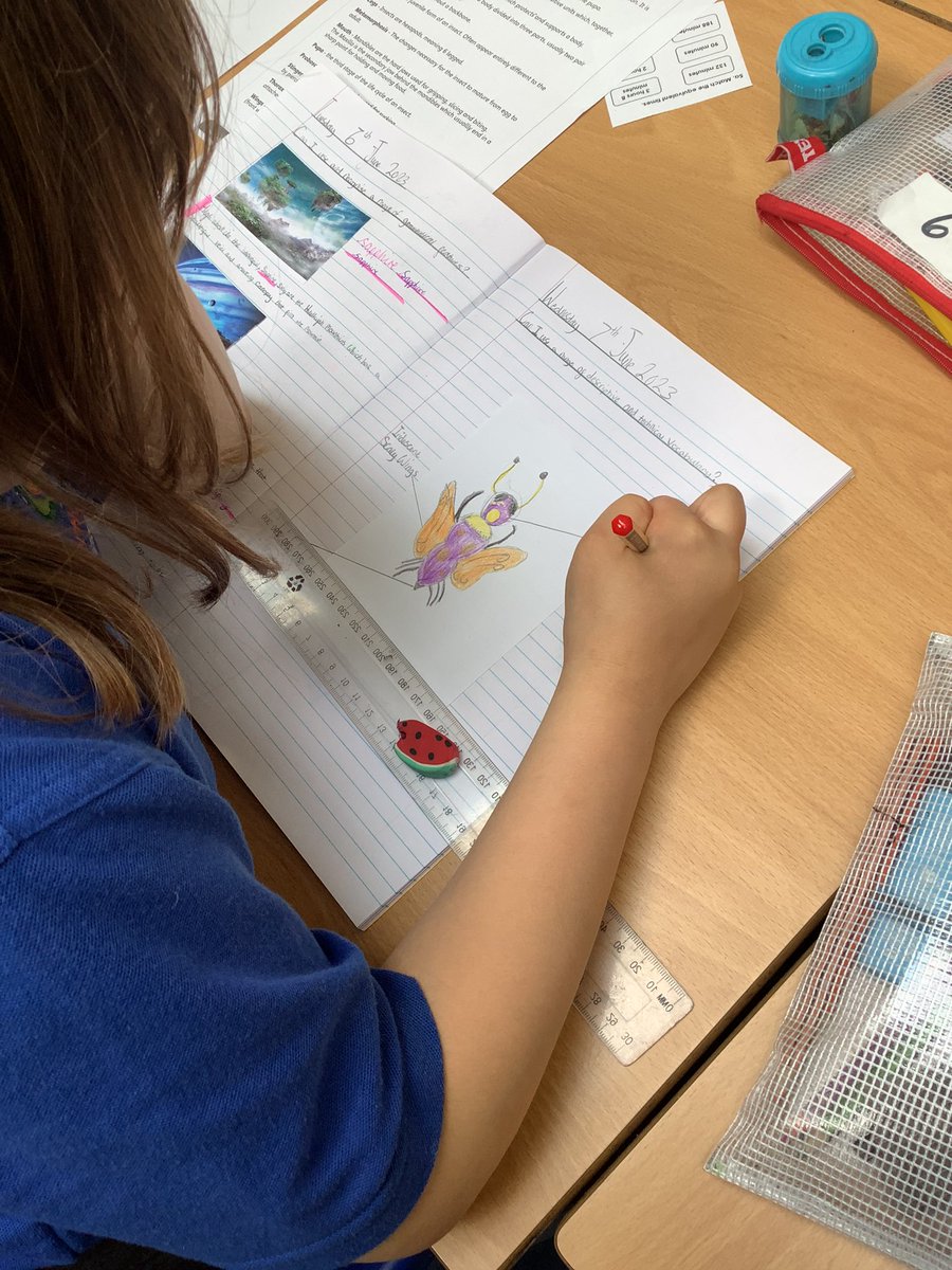 NPS5B's tweet photo. This morning in English year created a new species of insect found on planet Pandora. We thought about how to upscale adjectives to describe the different features. https://t.co/RQmdAmqrht
