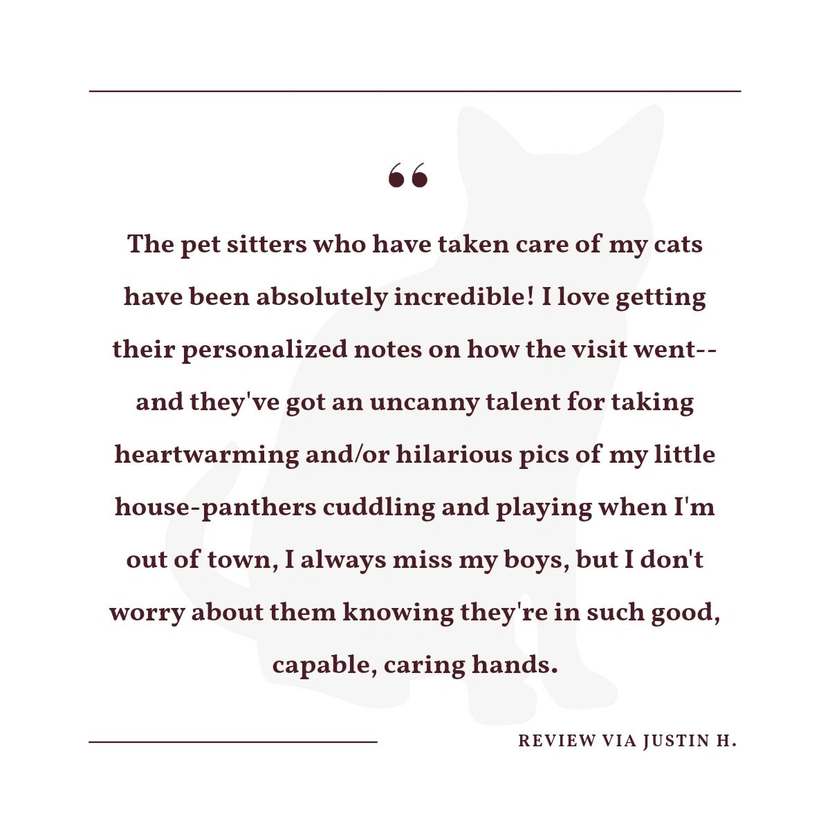 Our cat sitters offer personalized attention and care to ensure your furry friends are happy and comfortable. Enjoy your vacation with peace of mind!