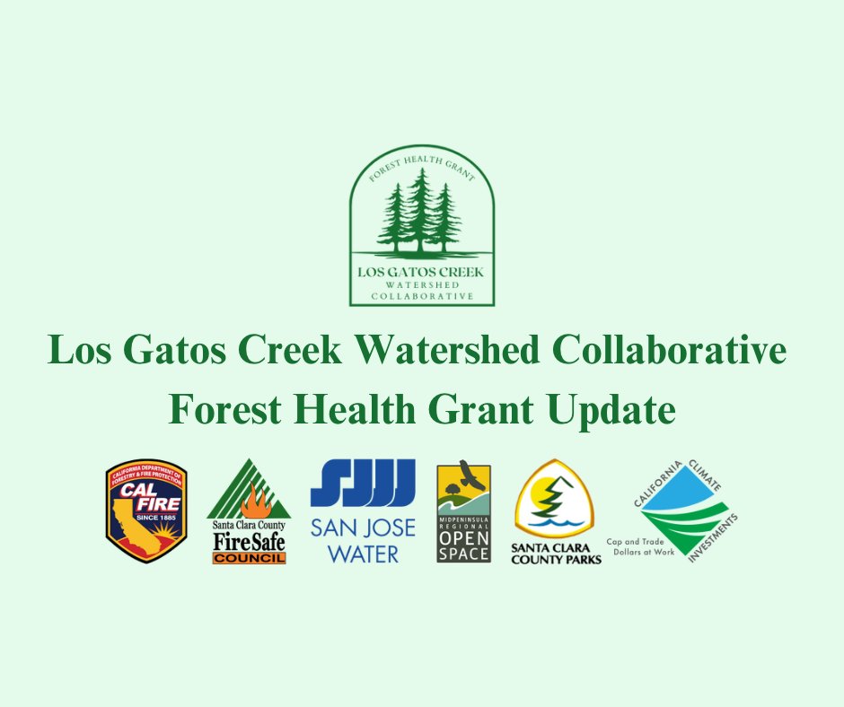 Los Gatos Creek Watershed Collaborative 
Forest Health Grant Update  
conta.cc/3MMT86A
conta.cc/3P5dQl3