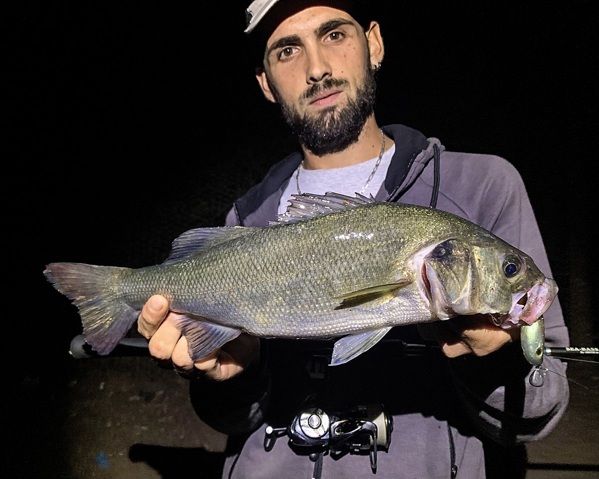 Pendolino Rig System per Giacomo Capresi!
​
seaspin.com

#seaspin #utopiatackle #lures #saltwaterfishing #spinning #fishinglures #fishingtackle #fishing #bigfish #seafishing