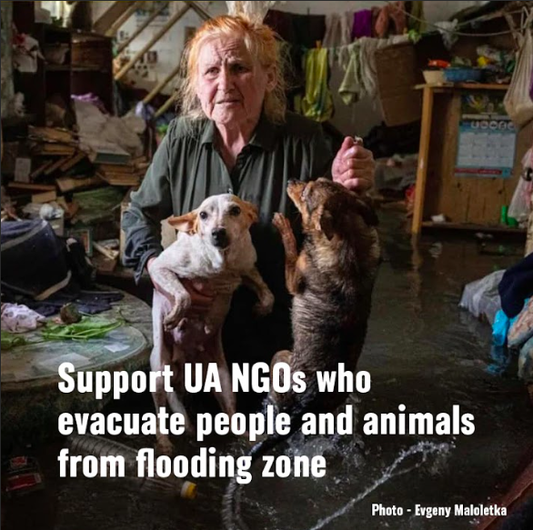 GreenpeaceCEE's tweet photo. What happened in Ukraine yesterday was a considerable catastrophe for the country and the environment. The most immediate impact of the massive downstream flooding is on the people who have already been subjected to 15 months of full-scale war. https://t.co/QhdAcRdBST