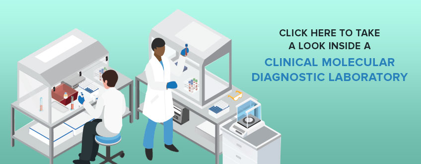 AMPath's tweet photo. This #MedGeneEd23 Wednesday, learn about the medical testing (and the professionals that perform them) that takes place in a molecular diagnostics laboratory: https://t.co/btLc2l4c90 
This free resource is also available in Spanish! https://t.co/mzZZJK4f4H #molpath https://t.co/GnTazSiIpB