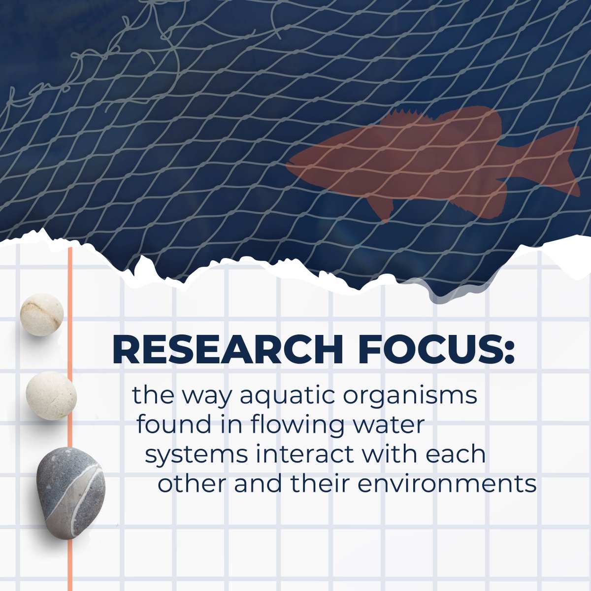 INHSillinois's tweet photo. #INHS Stream Ecology Lab scientists study #freshwatermussels, #macroinvertebrates &amp; #fish to address basic ecological questions &amp; to inform conservation practices, management &amp; policy.

Learn more ➡️ https://t.co/VrcTZTcQhi 🧡🐟

#fishingweek #fishsci @ILBiologist @UofIResearch https://t.co/ajwju0Gdjf