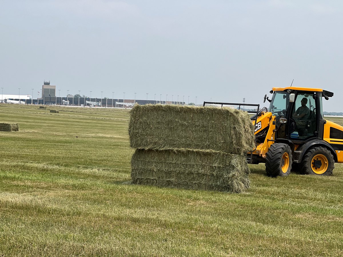 CAKairport's tweet photo. 🚜 We’ve partnered with local farmers to help maintain the areas around our airfield! We’re excited to continue this agricultural partnership within the community. Can you guess how many bales were harvested? ✈️ #cakairport #abetterwaytogo #akroncantonairport https://t.co/4LK6CuiHbQ
