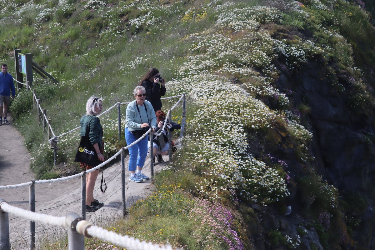 Belfast Exposed (@belfastexposed) on Twitter photo Another stunning day on the coast yesterday! We were out with a therapeutic photography group, in partnership with the <a href="/NationalTrustNI/">National Trust NI</a>, at Carrick-a-Rede.
An opportunity to learn some new skills and talk about what's on our minds.
Find out more - ow.ly/HGGy50OHTN6 Another stunning day on the coast yesterday! We were out with a therapeutic photography group, in partnership with the <a href="/NationalTrustNI/">National Trust NI</a>, at Carrick-a-Rede.
An opportunity to learn some new skills and talk about what's on our minds.
Find out more - ow.ly/HGGy50OHTN6