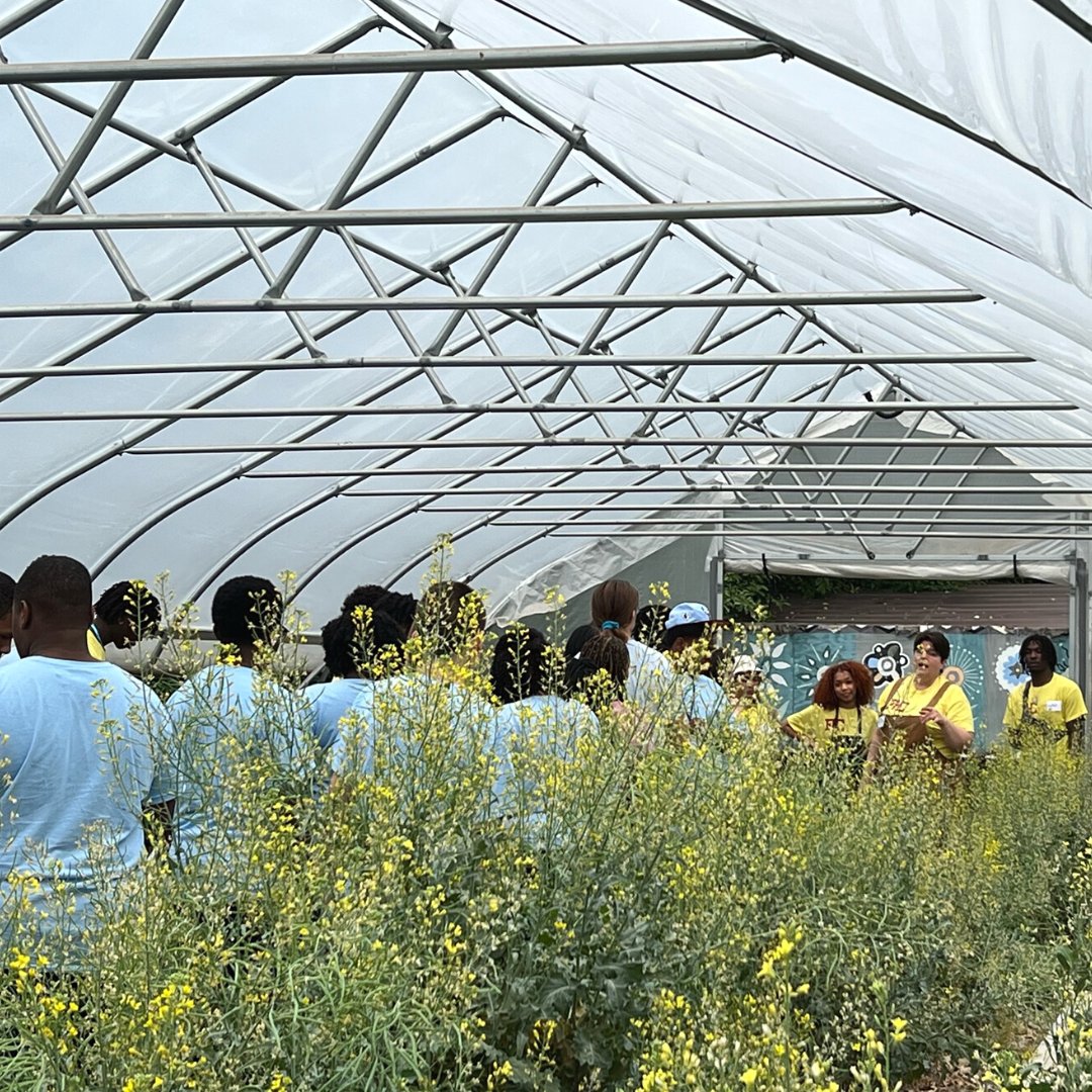 Can you believe it's already orientation week for summer camp?

Students are taking a tour of the farm and learning about the goals and missions of FHC's STEAM farm.

#indianapolis #indiana #indy #marioncounty #fhcgarden #STEAMCamp #UrbanGarden #UrbanFarm #blackownedfarm