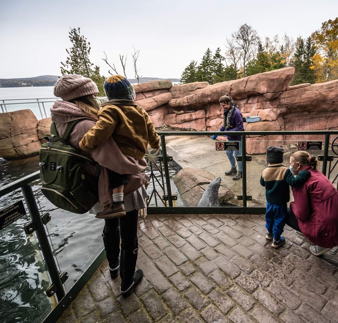 HuntsmanMarine's tweet photo. We invite #HuntsmanMarineMembers to celebrate #WorldOceanDay and @OceanWeekCan at the #FundyDiscoveryAquarium tomorrow, Thurs, June 8, 2023 from 10am - 5pm! Each Member is invited to bring a friend to the Aquarium for Free Friend Admission day! 

#HuntsmanMarine #ExploreStAndrews https://t.co/8kIGj7PNdh