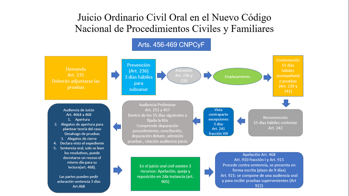 Linea De Tiempo Del Juicio Ordinario Civil Teimopc | My XXX Hot Girl