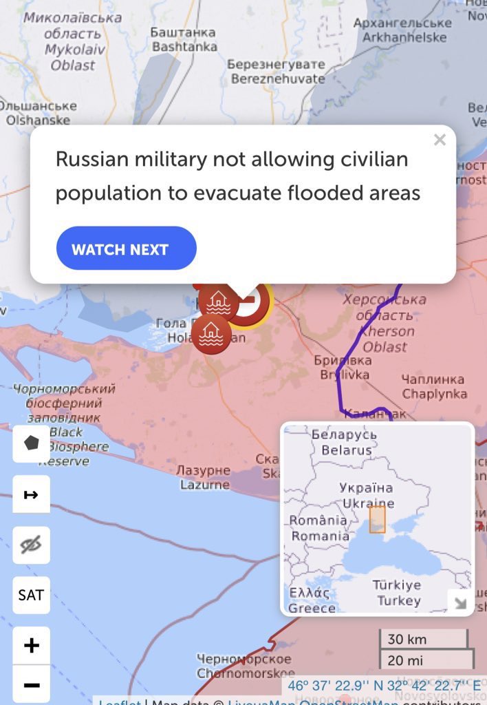 Mira of Kyiv 🇺🇦 tweet media