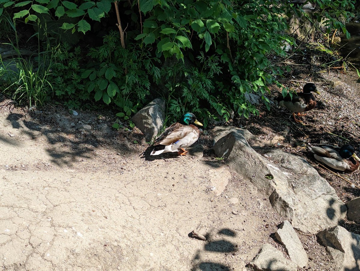 Freya Holmér tweet media