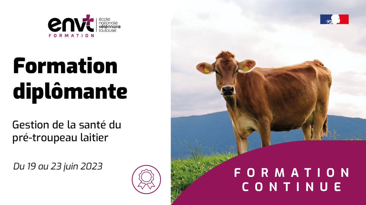 env_toulouse's tweet photo. FORMATION CONTINUE - Envie d'acquérir de nouvelles compétences ? Découvrez les prochaines formations de l’ENVT !
➡ Gestion de la santé du pré-troupeau laitier
📅 Du 19 au 23 juin 2023
⚠️ Plus que quelques jours pour s'inscrire
➡ Plus d’infos : https://t.co/hRUKDQmmQN https://t.co/DhnQ4JS6QH
