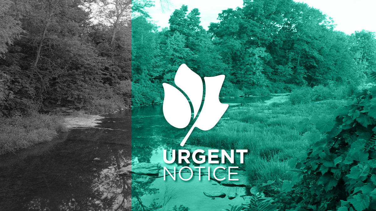 🚫Wainfleet Bog Conservation Area in <a href="/WainfleetTowns1/">Wainfleet Township</a> is currently closed due to dry weather conditions &amp; the risk of fire.🚫

Please avoid visiting the area until it can be safely re-opened for public access. Visit buff.ly/3vjfP8g for a list of other parks near you!
