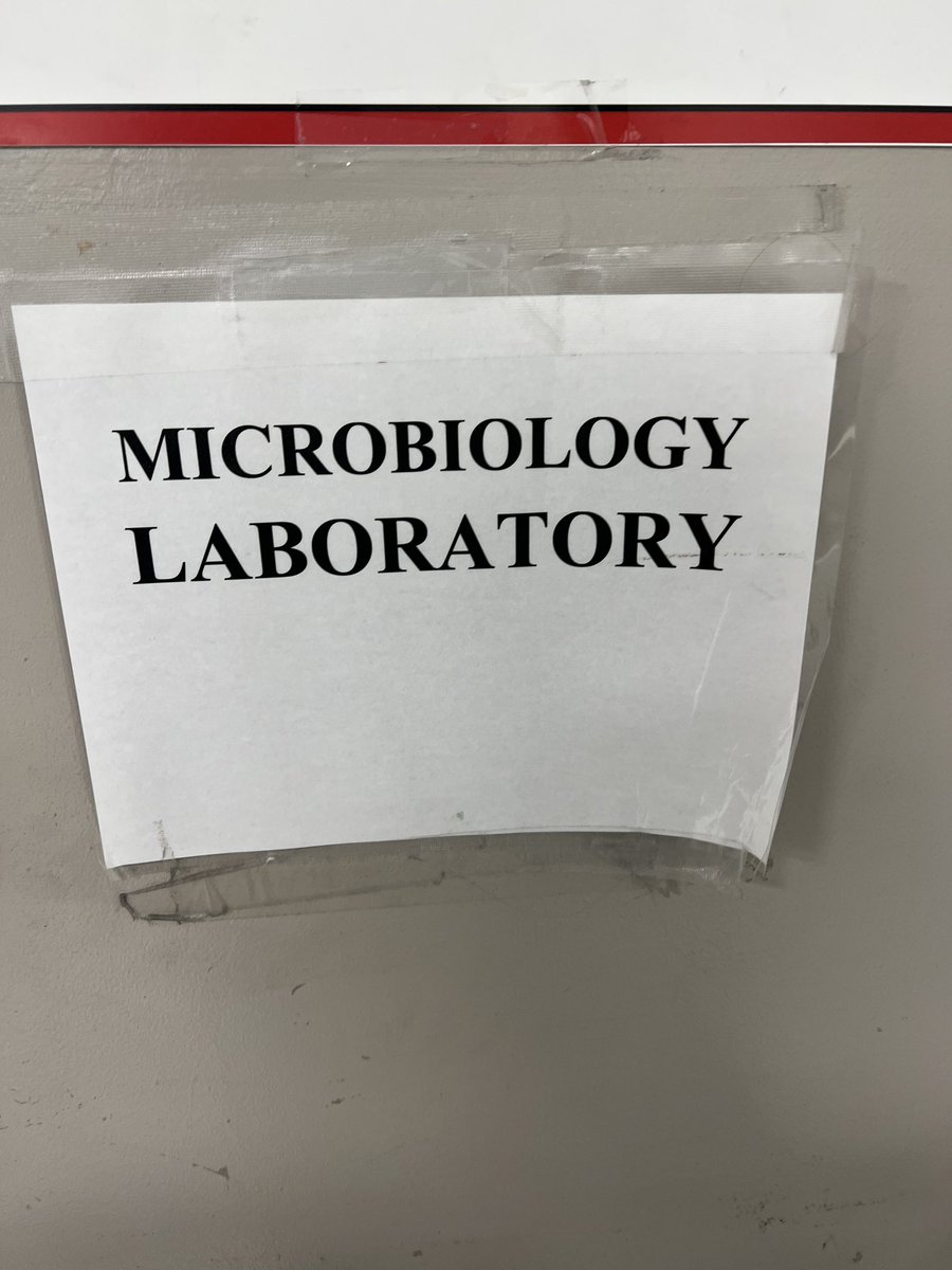 Westermani_Wes's tweet photo. Back in my favorite section of the lab, doing some anaerobes today! https://t.co/iPBIOaT84o