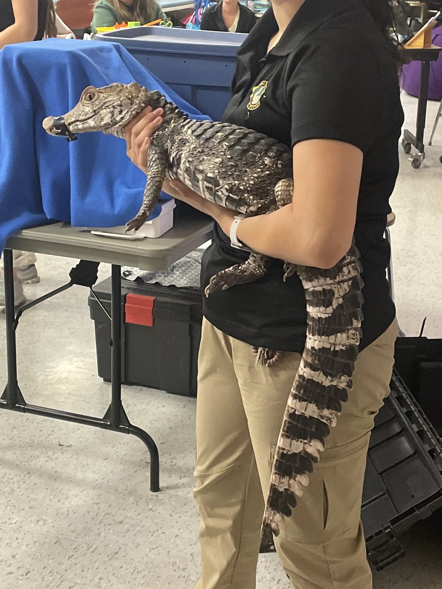 Parkside CI tweet media