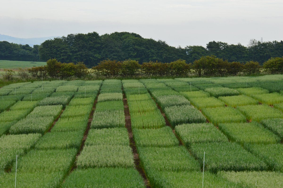 We invite you to discover our extensive trial site and receive the latest and most pertinent updates for your business. Join us for our summer open day on June 27th at Balgonie Estate in Fife