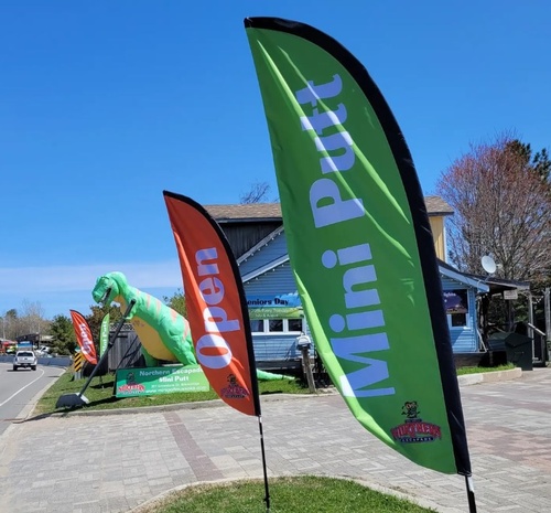 Join us for a Business Networking Event &amp; Mini Golf on June 16th! - mailchi.mp/bracebridgecha…