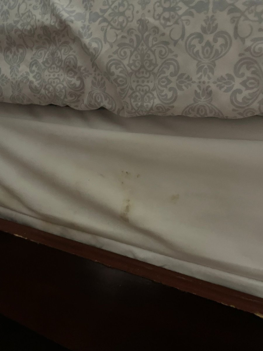 EmilyRMill's tweet photo. @vrbo We rented a property through you and it was not as advertised. Had to find new lodgings. Owner will not reimburse full amount. Can you help? https://t.co/e55JqLJPBC