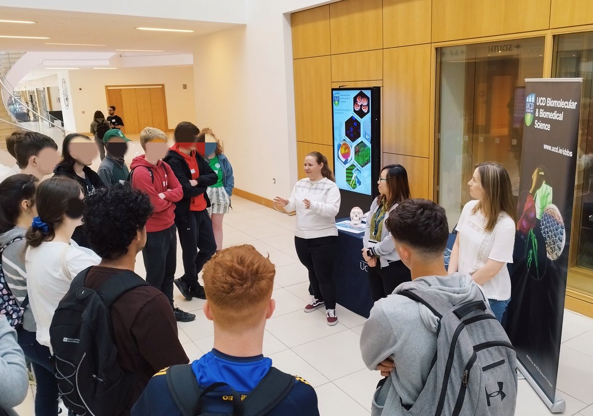craigslattery's tweet photo. Delighted to welcome @ucdscience Summer School attendees to the SBBS stand &amp; labs today. Lots of enthusiastic young people interested in making the world a better place. Big thank you to our SBBS reps for their time and expertise  - Theresa, Ying Ling, Niamh, Alan, Paula and Greg https://t.co/VndRbRbSB5