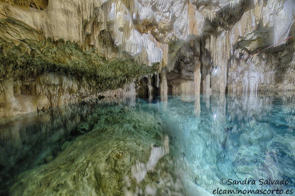Caminomascorto's tweet photo. Cenote Gato, Yucatán
👉🏽https://t.co/QlSxvJA8Ws
#cenotesyucatan #cenotesmexico #cenotes #cenoteando https://t.co/DyYta3Kb8J