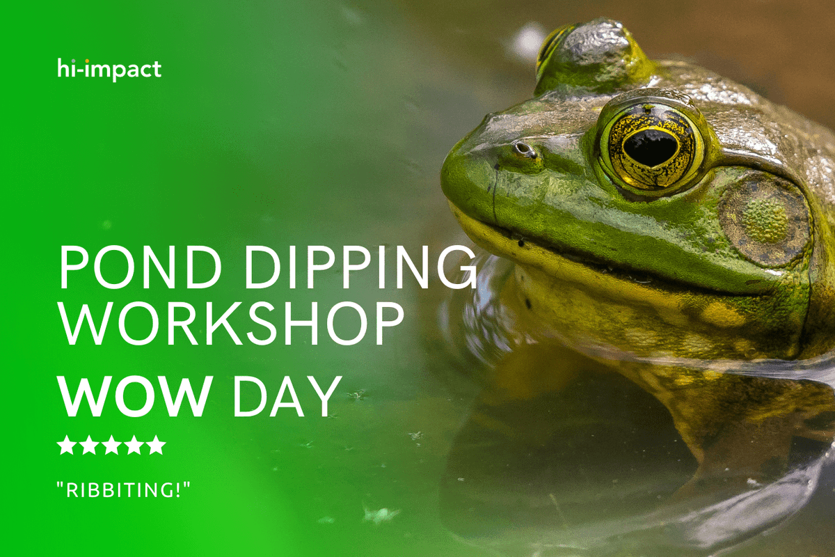 The HOST tweet media