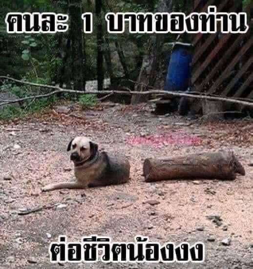 ทุกคนช่วยต่อชีวิตไอเต๋ยที 😭😭😭