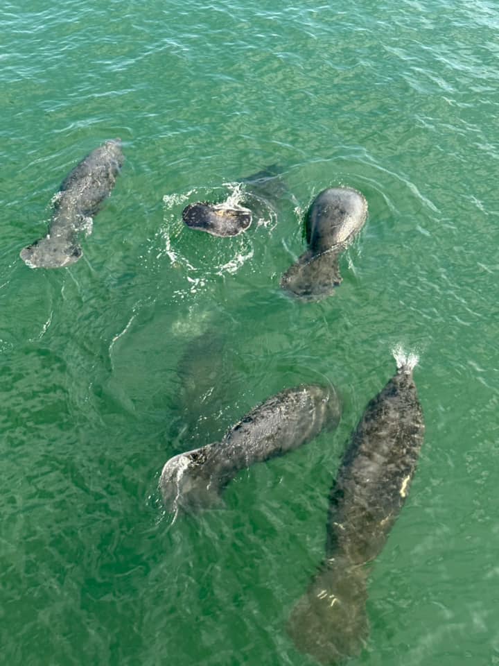 City of Pompano Beach tweet media