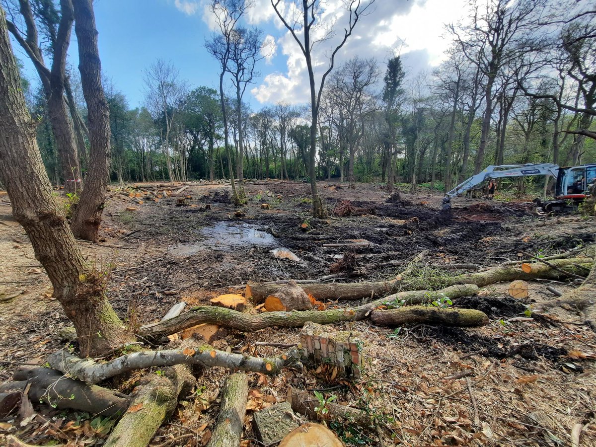 HeritageFundCYM's tweet image. GWEMINAR – ar ddydd Llun 12 Mehefin, dewch i ddarganfod rhagor am y ddau gynllun grant rydym yn eu rhedeg ar gyfer plannu #Coed ac adfer #Coetiroedd ledled #Cymru. Mae grantiau o £40,000 i £250,000 ar gael. Tocynnau yma 👇ticketsource.co.uk/whats-on/onlin… 🌳🌲🌿🌿