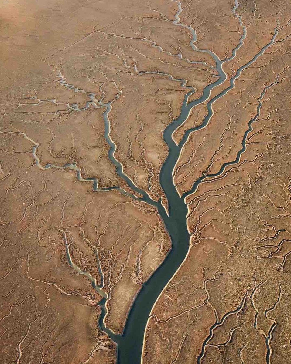 Aerial footage of the Zubair River in Basra, Iraq 🇮🇶 
And it appears in the form of “tree branches” of great magnificence, Glory be to Allah who created it.
MA SHA ALLAH 🤍♥️

#عوام_کی_ضد_عمران_خان #Islam
#ShahMehmoodQureshi #Bajwa #سازشیوں_کی_کارکردگی #شكرا_حمدالله #onstorm