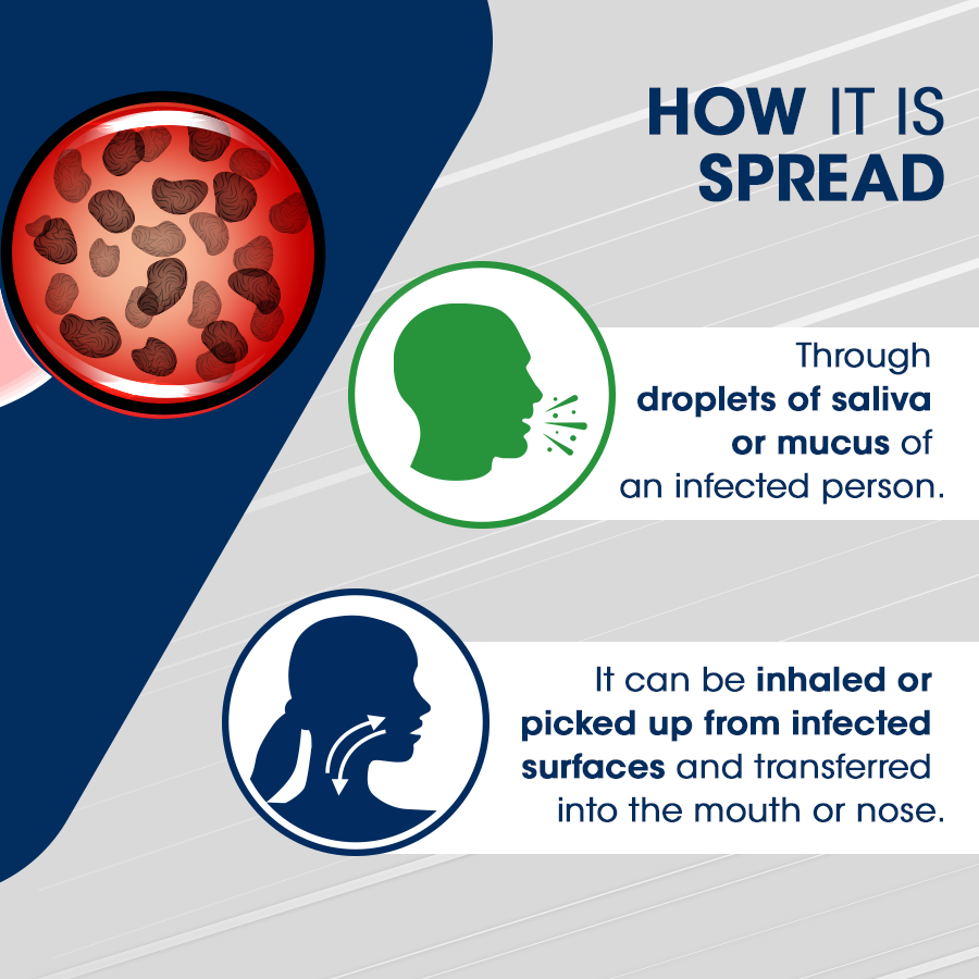 Clicks_SA's tweet photo. The National Institute for Communicable Diseases (NICD) has confirmed an outbreak of mumps in South Africa.
Learn more now. > https://t.co/NKSlO6bVWc
#MumpsOutbreak #Staysafe https://t.co/xp0r6VBCJZ