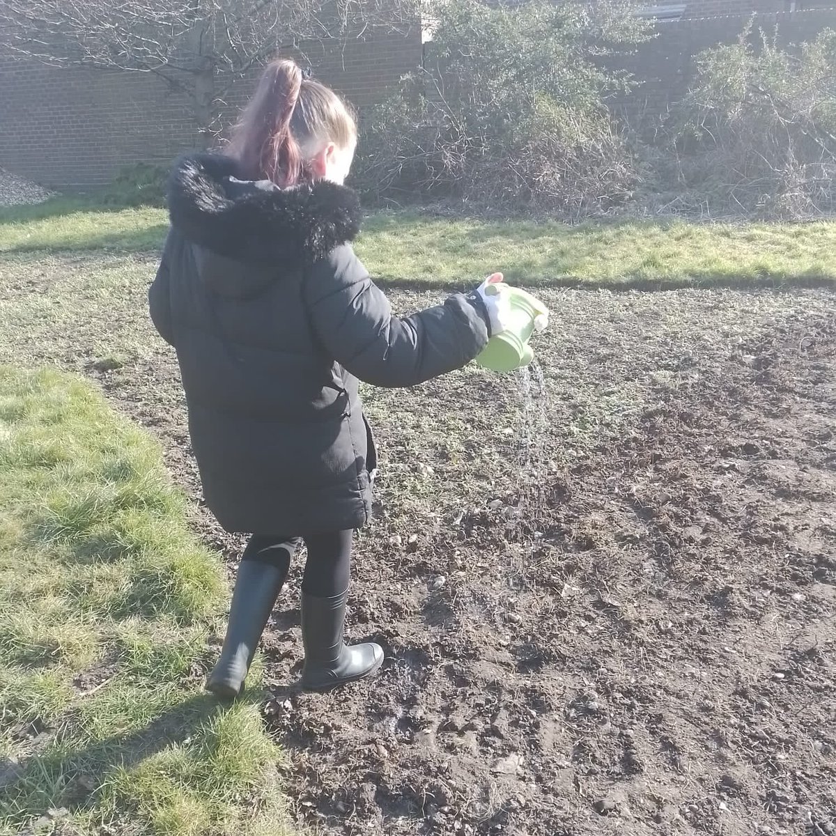 Growing for Wellbeing Week🌺.
#lifechancesforyoungpeople #youthempowerment #growingforwellbeingweek #wellbeing #gardening #healthbenefits #community