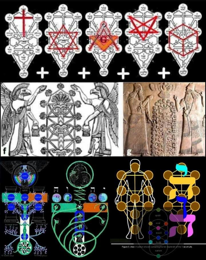 𝖓 𝖔 𝖗 𝖙 Ⓗ 𓂀 Ⓢ 𝖙 𝖆 𝖗 tweet media