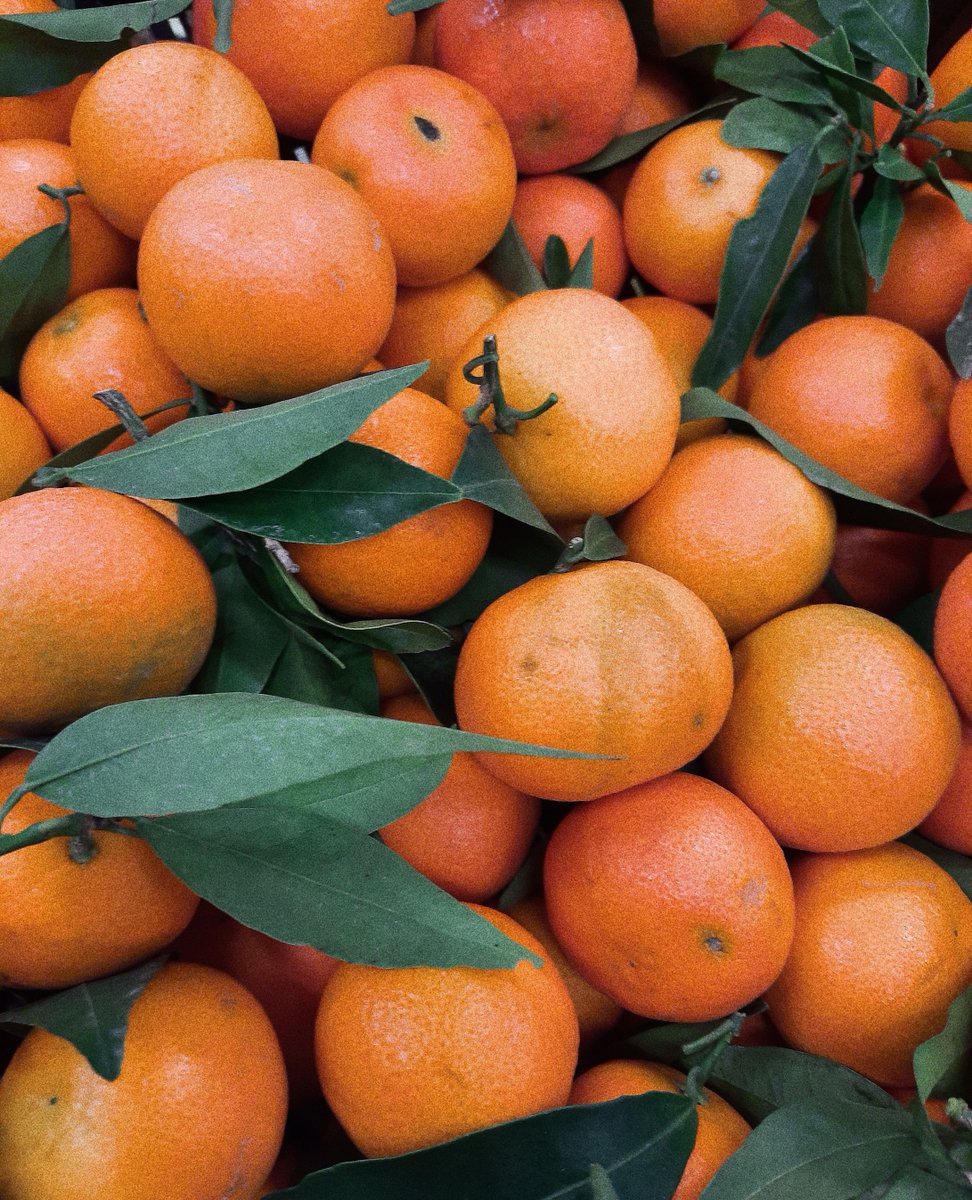 RandA_Chocs's tweet image. Something zesty coming this Father's Day. Announcement tomorrow - don't miss it. 😉🍊