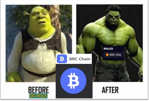 brcchain_io's tweet photo. 🌟 Several BRCers have earned the OG role for their early adoption! 🙌

✨ Through activities like bridging, swapping, providing liquidity, and creating engaging content

👉 Join us now and stand the chance to collet the 1000 Airdrop points: https://t.co/CM1Pe9BKsK https://t.co/4ROr2QsGuA