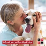 Photo by SPCA de Montréal (@SPCAMontreal)