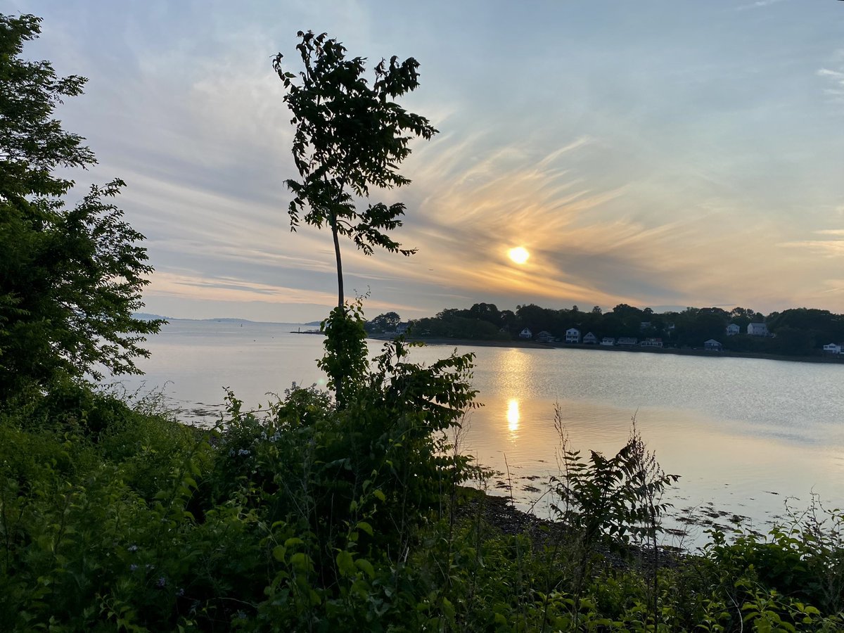 Becky_Haugh's tweet photo. North #WeymouthMA this morning https://t.co/7dHAf4FJIn
