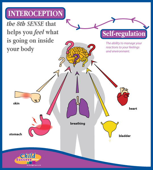 https://childsuccesscenter.com/blog/interoception-common-childhood-issues/