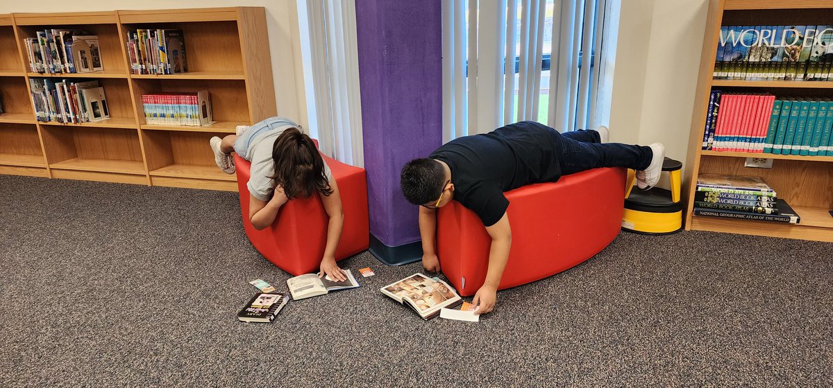 Raba Rattler Library tweet media