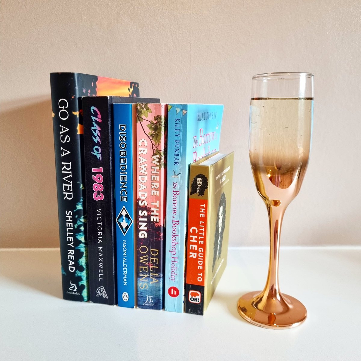 Yesterday, I was offered an amazing job that I'm super excited about!🤩
So here is my celebratory prosecco & a selection of books with superstar women making a fresh start 📚
#books #bookblog #bookish #feminism #girlpower #reading #bookblogger #bookstack #prosecco #cheers #newjob