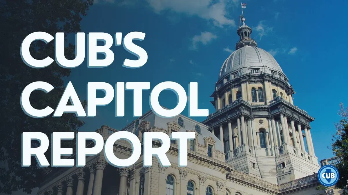 Big thanks to people who sent messages to Springfield in favor of pro-consumer bills. And thanks to the legislators who work with CUB, such as: @ChicagoTM @repdagmara Rep. Michelle Mussman @sengillespie @senatorcastro @SenatorRezin Read our report: bit.ly/42zWQXe